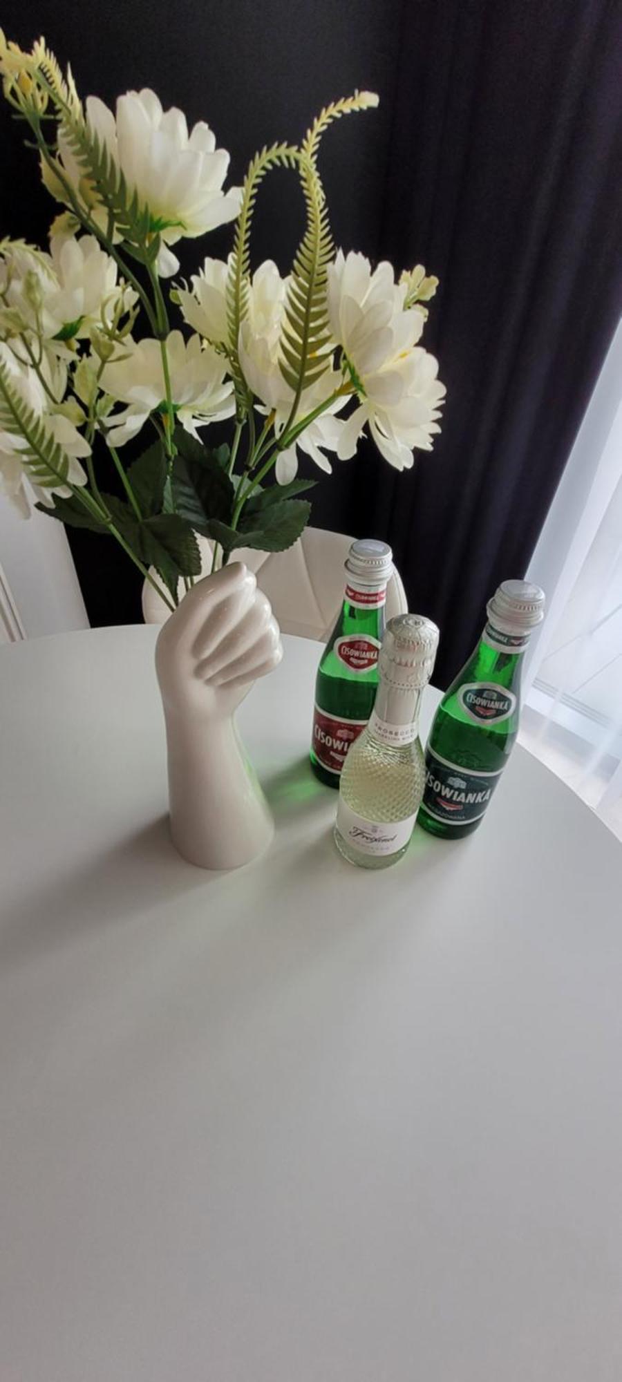 Hanza Tower Apartament 306, Basen, Sauna, Jacuzzi, Fitness シュチェチン エクステリア 写真
